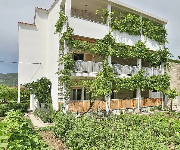 Zizula * Kastela