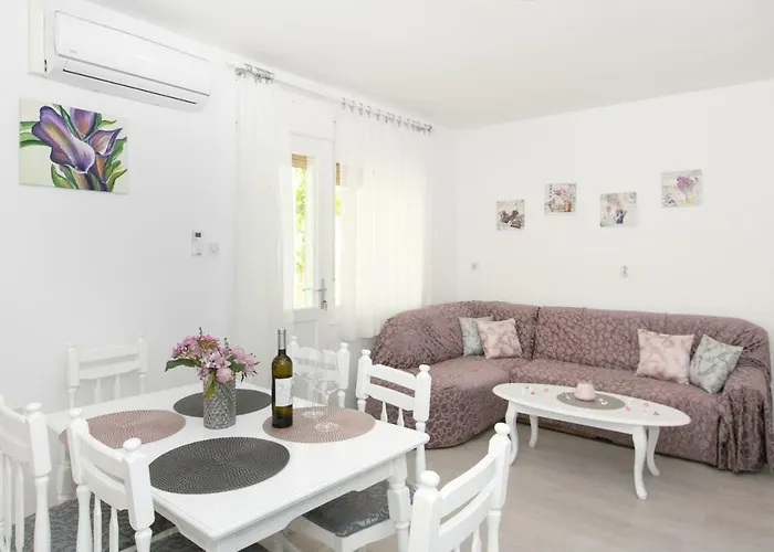 Apartman Zizula *